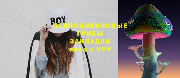 Альфа ПВП Михайлов