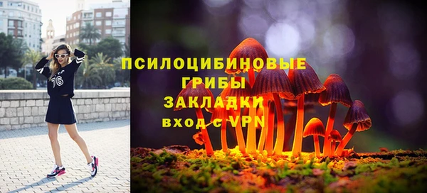 стаф Абдулино