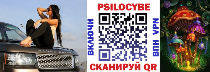 Псилоцибиновые грибы Psilocybe  цены   OMG tor  Алагир 