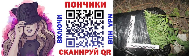 Бошки Шишки семена  Алагир 